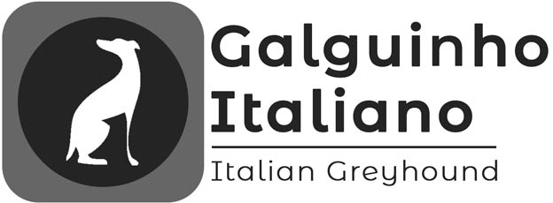 Canil de Galgo Italiano