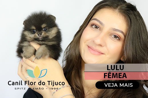 lulu da pomerania