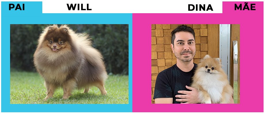 DinaXWill