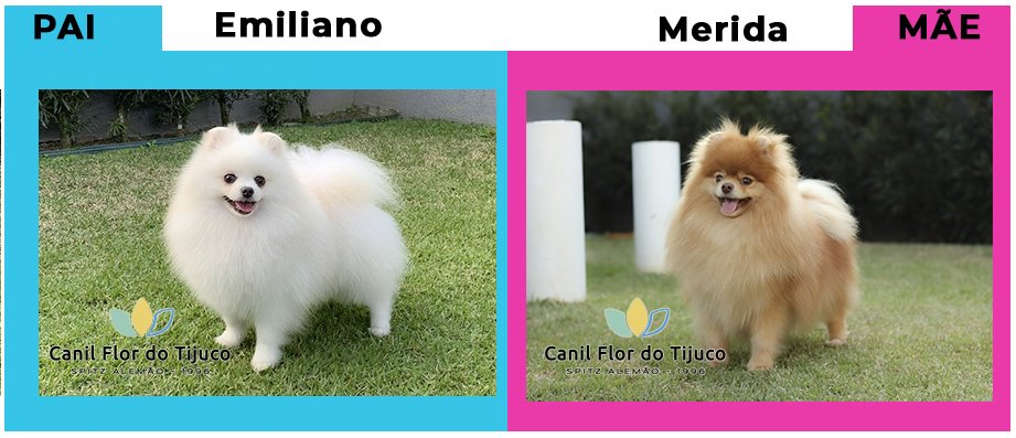 MeridaXEmiliano